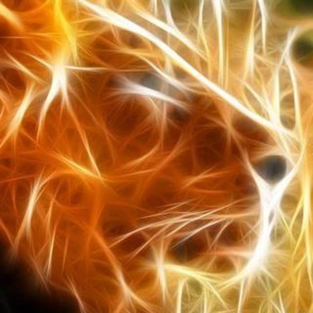 Meet your Posher, Maximus